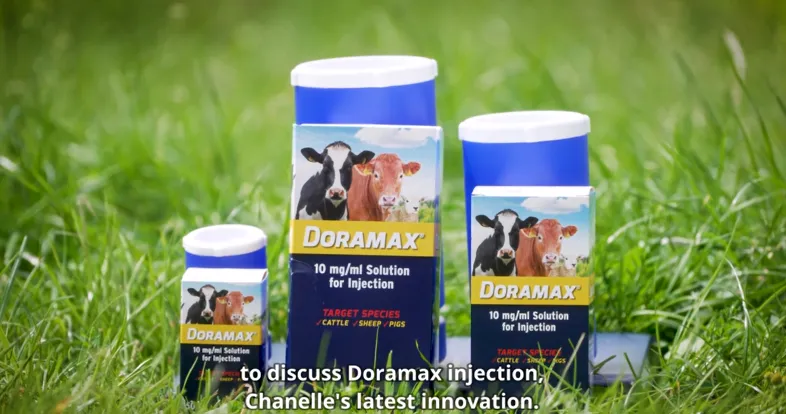 Tateetra & Rathmore Farms: Beefing Up Animal Health with the New Doramax Injection