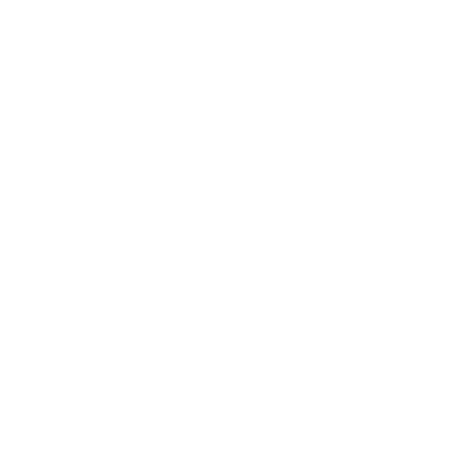 Raven Icon