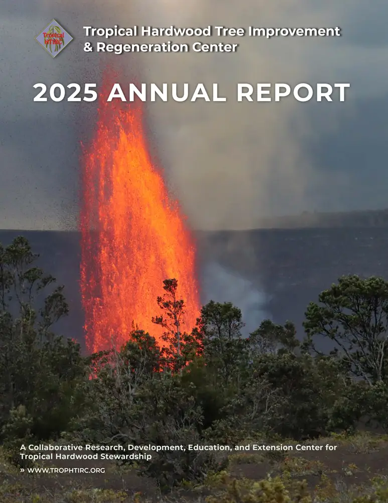 2025 Annual Report