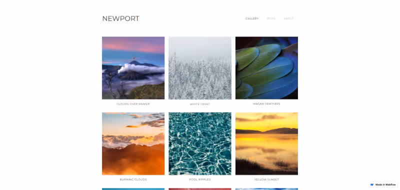 Webpage titled Newport showing a photo gallery with six images: clouds over Mount Rainier, frosted trees, close-up of macaw feathers, burning clouds at sunset, rippling pool water, and a yellow sunset over a lake.