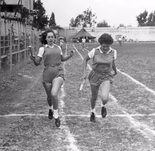 שותפים ושותפות לדרך