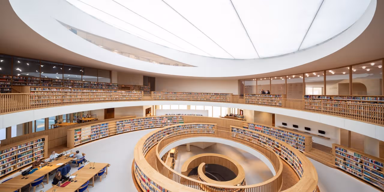 צילום סתיו צור