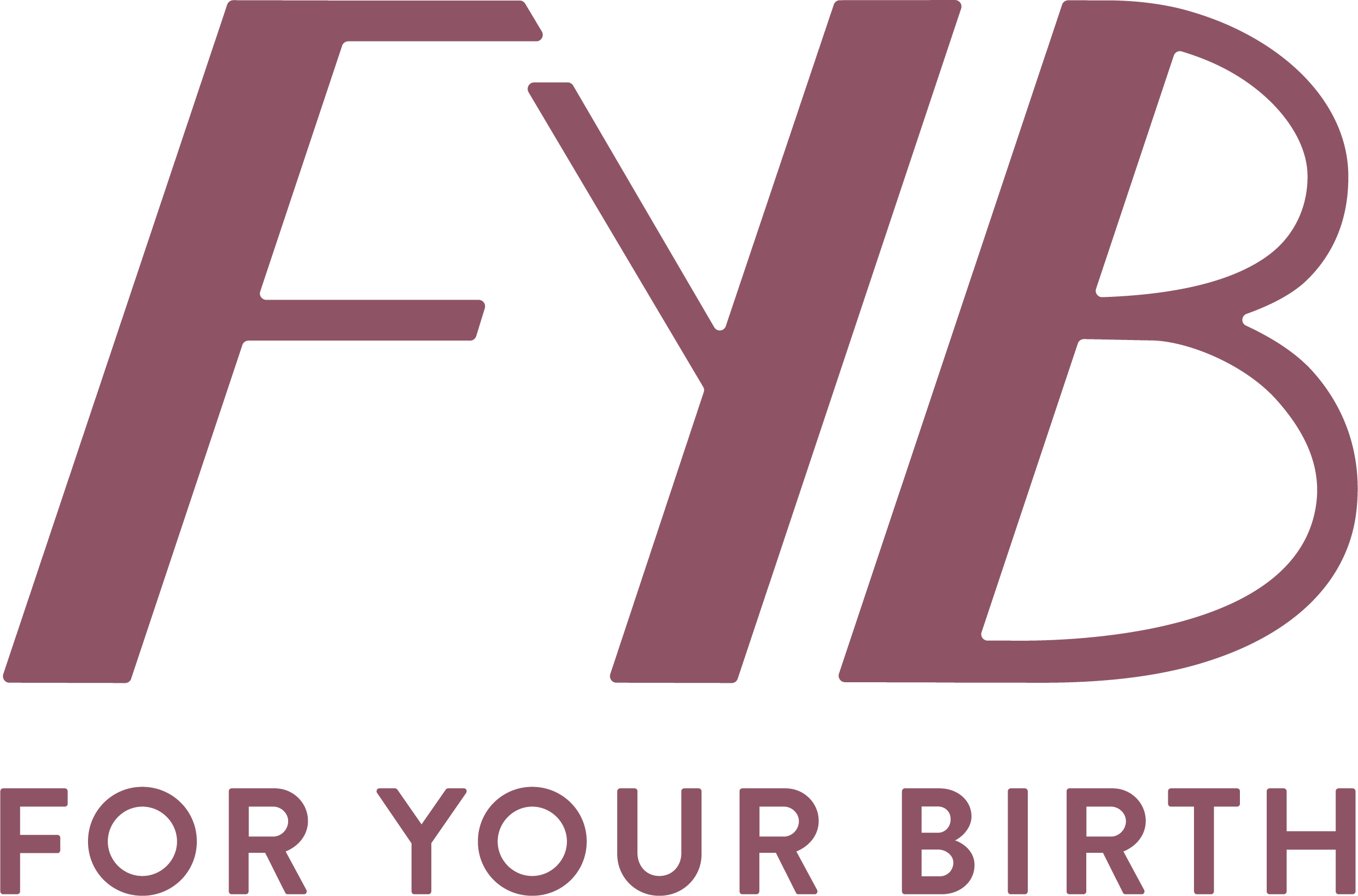 Birth Center Equity