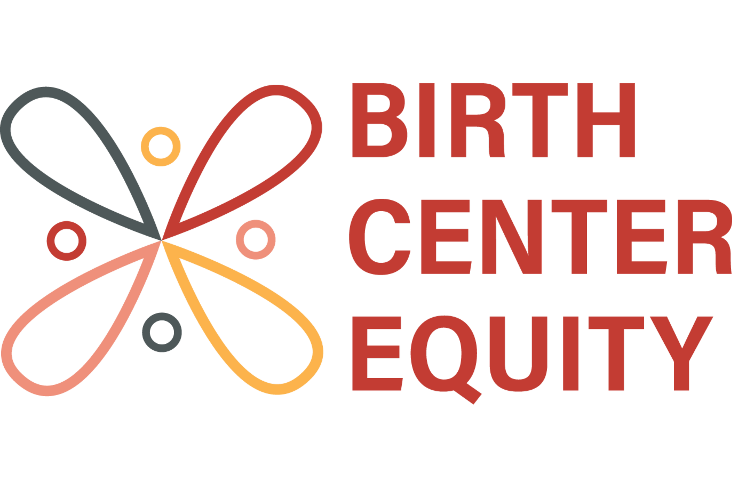 Birth Center Equity