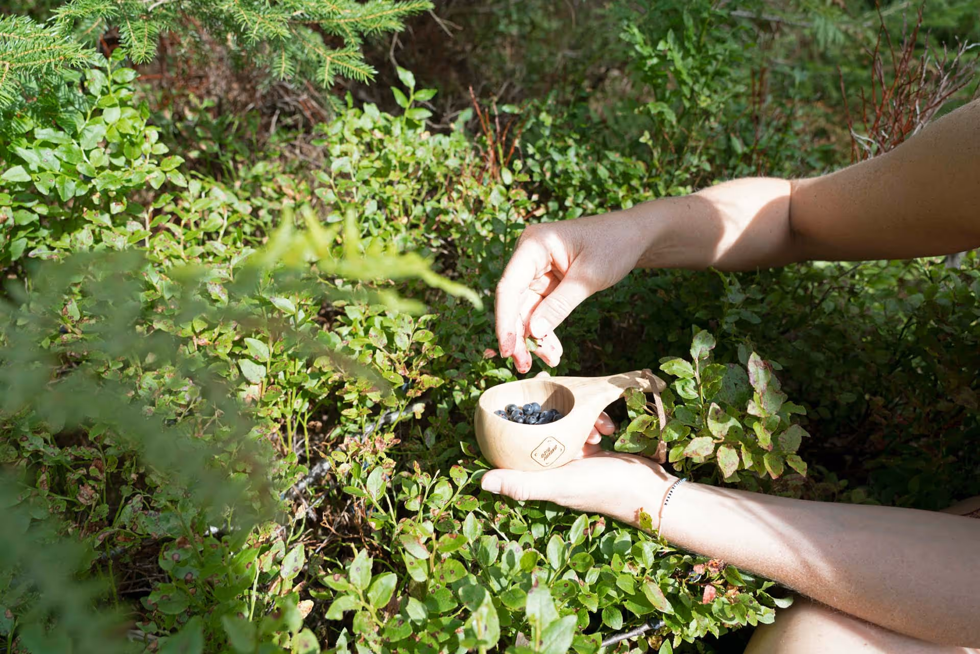 A woman picking blue berries in her When In Norway Wooden Cup.