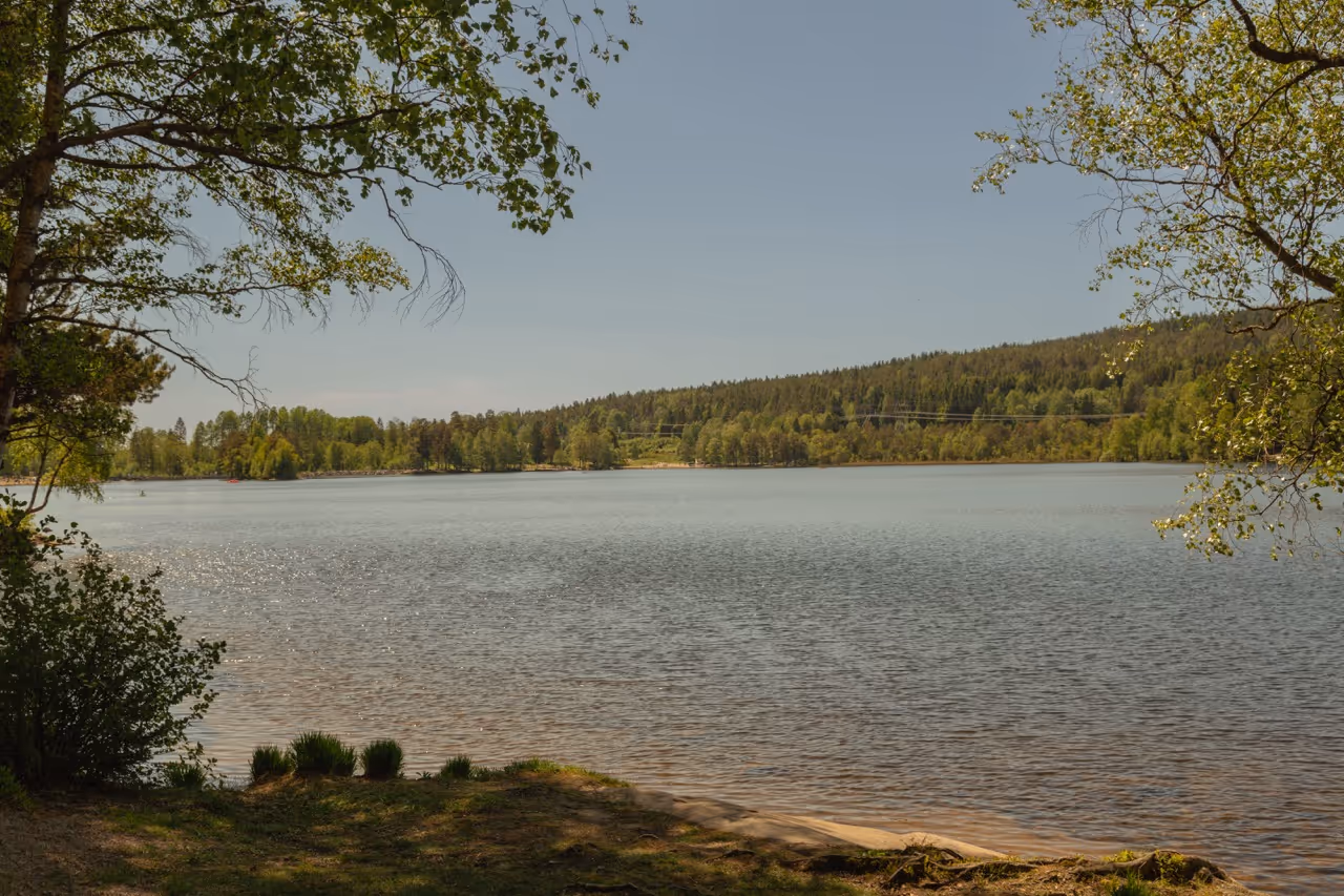 Forest tour near the lake