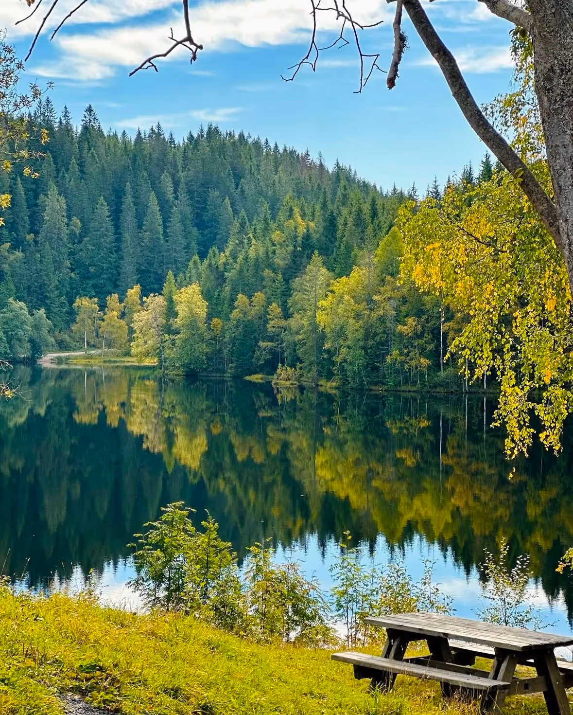 Swimming tour near Oslo