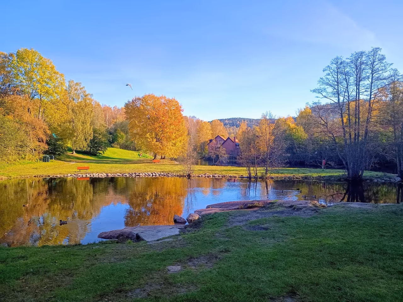 Akerselva guided walk