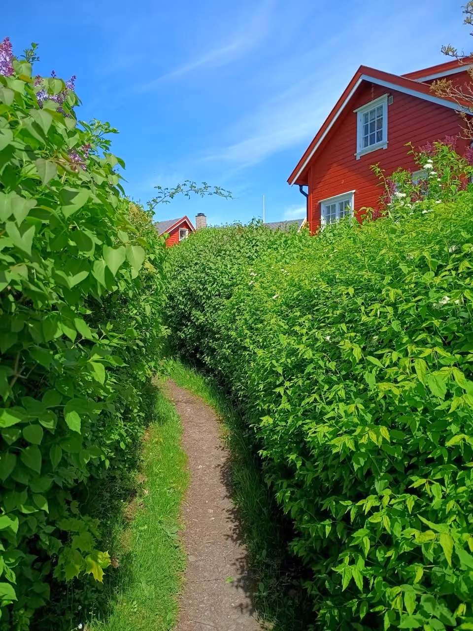 Island Hopping tour in Oslofjord