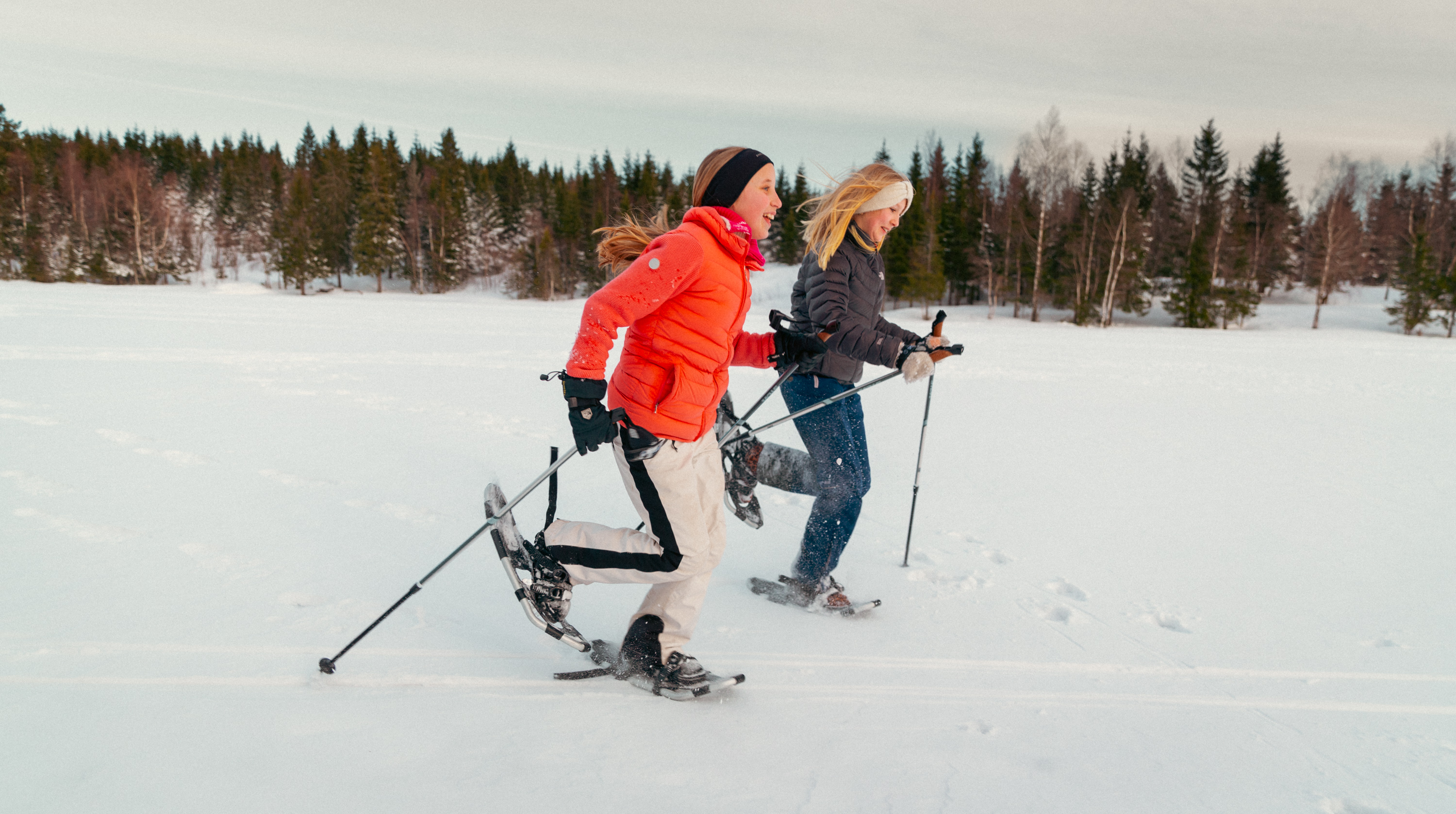 A cheerful group of snowshoers walking along a snowy trail, enjoying the peaceful surroundings and fresh air.