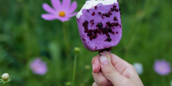 Navigating the Future of Natural Food Colors: Formulation Insights and Transitioning from Synthetics