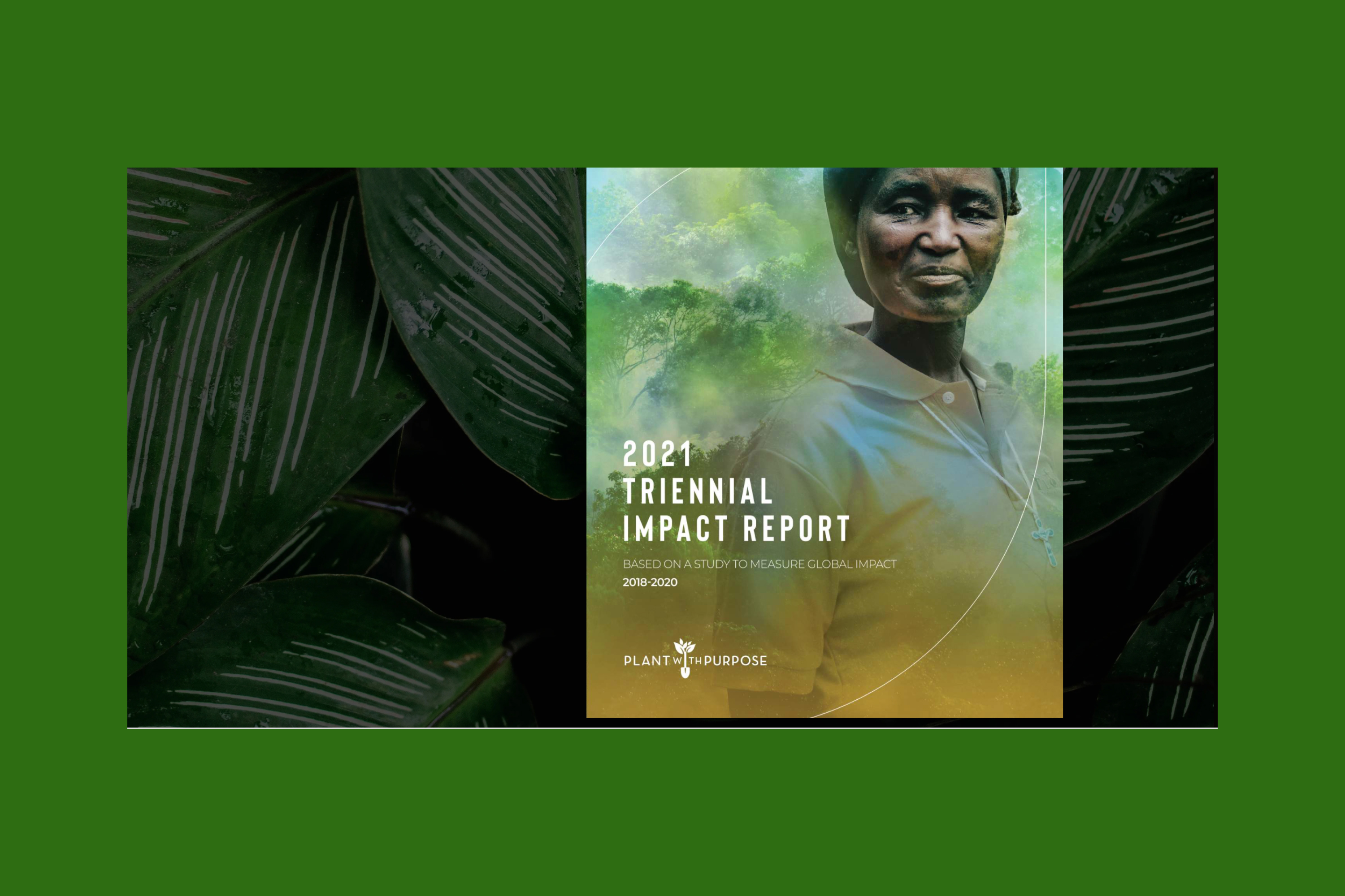 Triennial Impact: Interactive Public & Non?Profit ESG