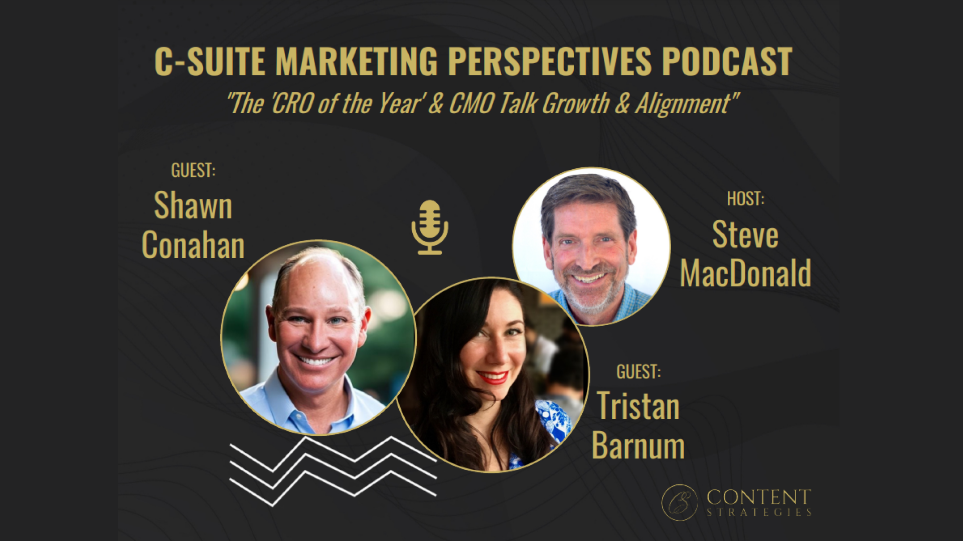 Growth & Alignment: Interactive Pro Services Podbook