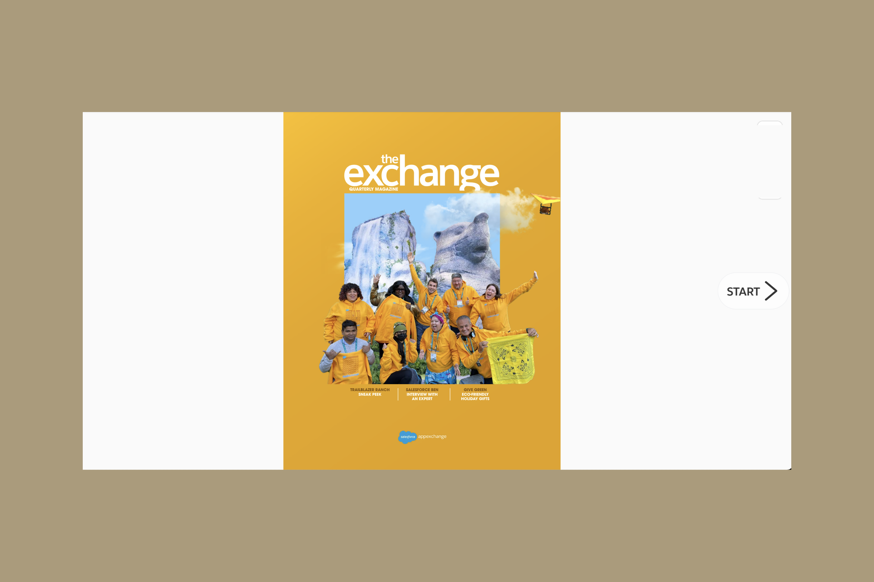 Salesforce�s The Exchange: Interactive B2B Marketing