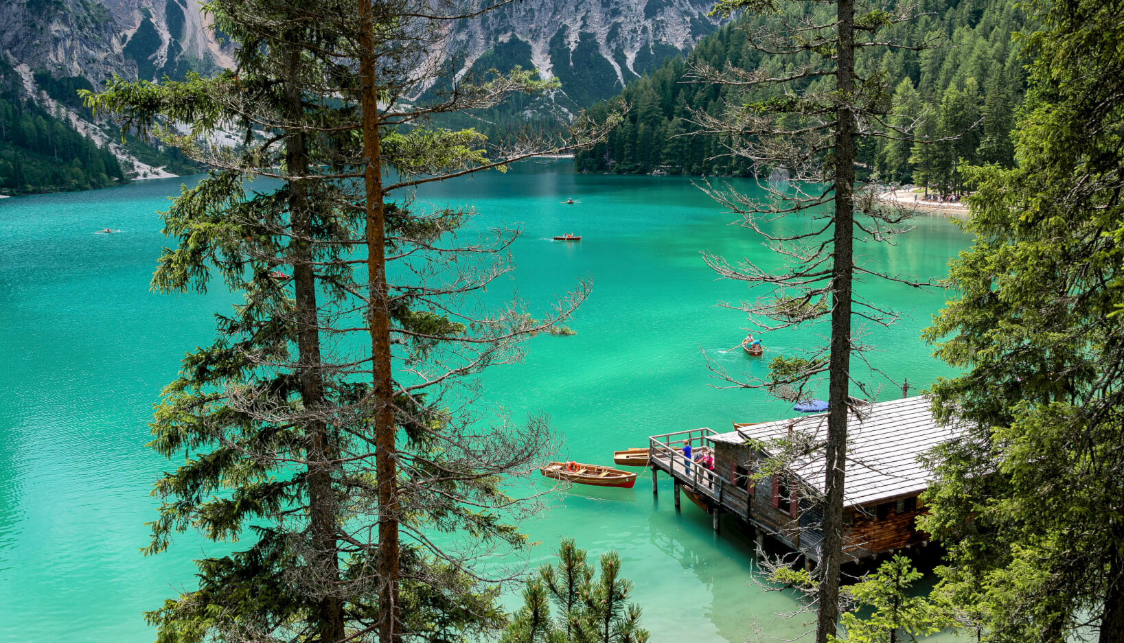 birdseye view of someone applying for camp america on their laptop