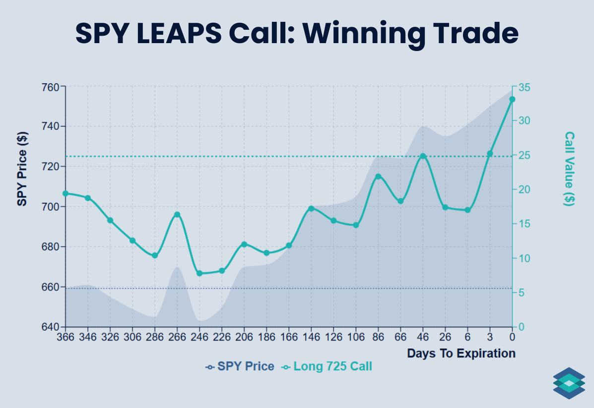 LEAPS vs stock trade example