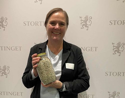 Statsbudsjett 2026: Vårt innspill