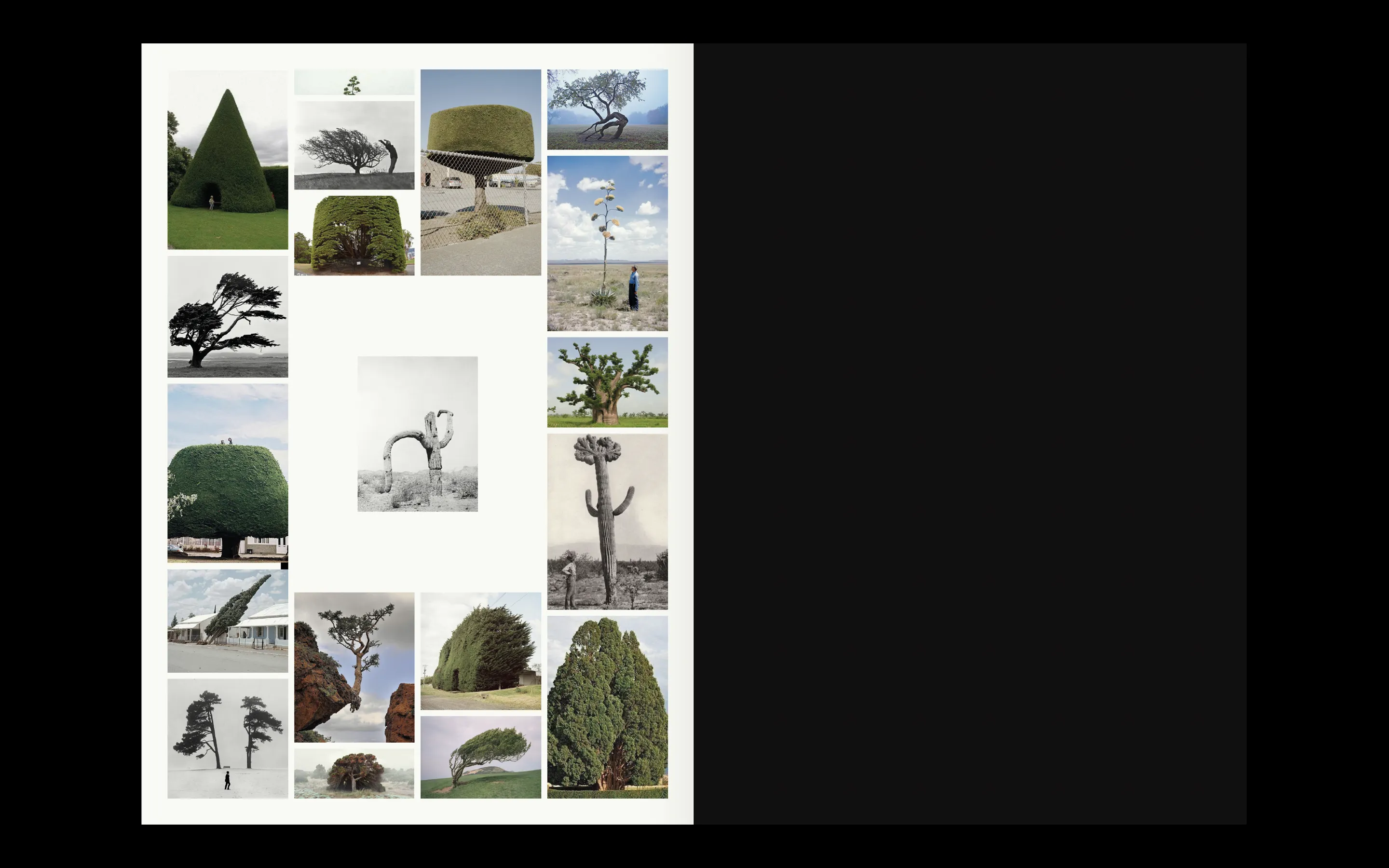 Branding & Website Development — Visual identity, art direction, editorial, portfolio, social and website (design & programming) for the architecture & design studio, 1009, based in London. www.10-09.com
— designed by Laura Jouan, 2024