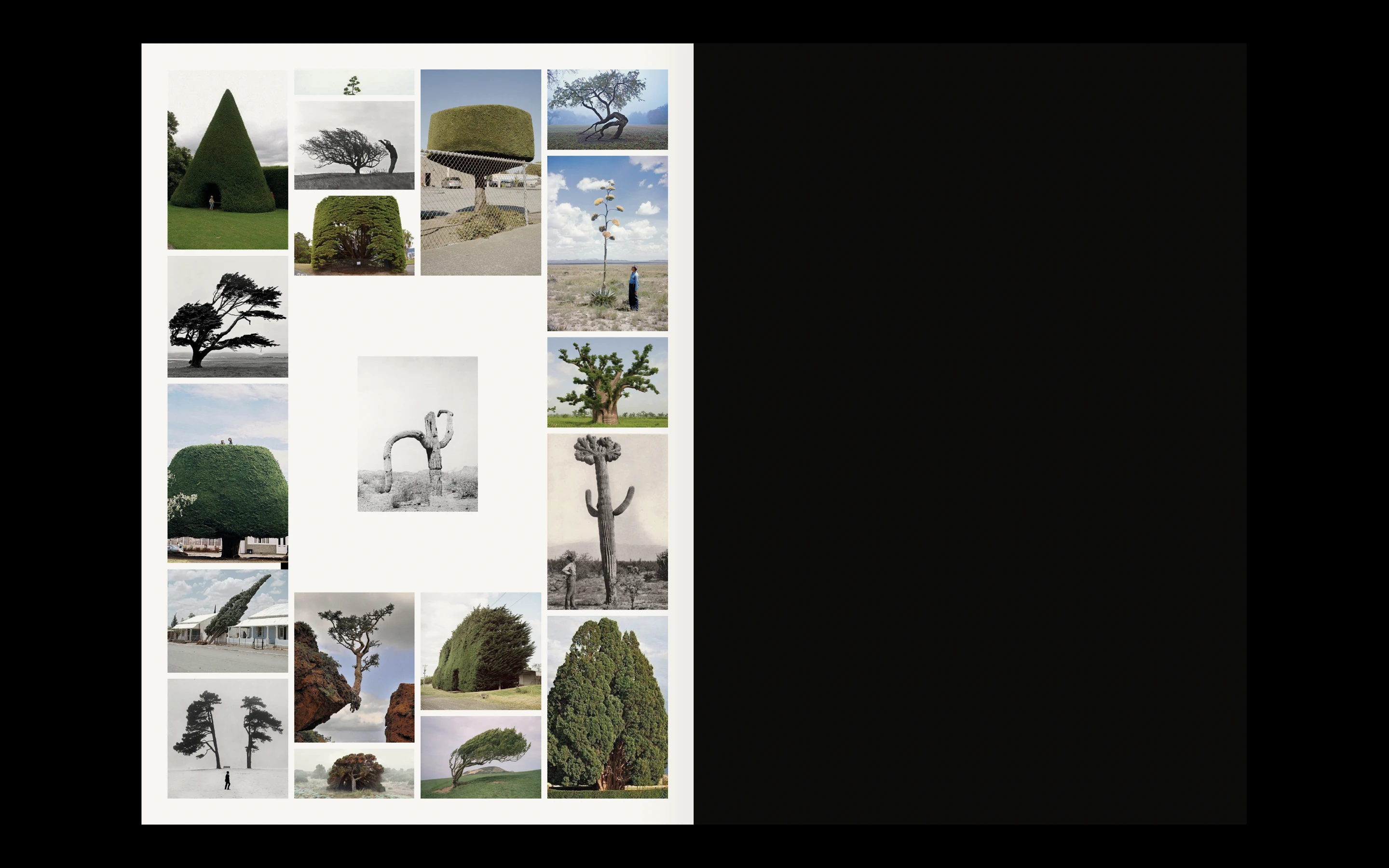 Collage of various uniquely shaped trees, including trimmed, wind-swept, and sculptural forms in different landscapes.
Branding & Website Development — Visual identity, art direction, editorial, portfolio, social and website (design & programming) for the architecture & design studio, 1009, based in London. www.10-09.com
— designed by Laura Jouan, 2024