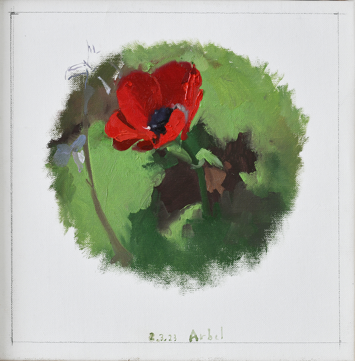 The Nearest Anemone