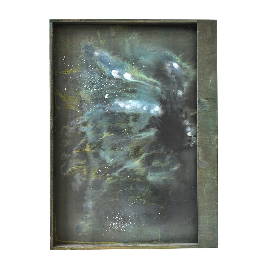 עדו בר אל: קנגרו