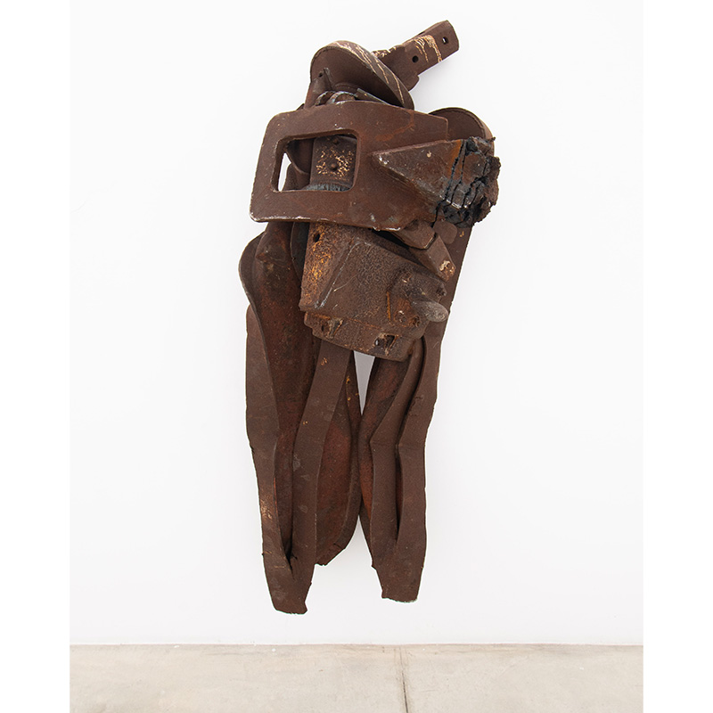 יעקב דורצ'ין: דג בלי ראש ופסלים נוספים  