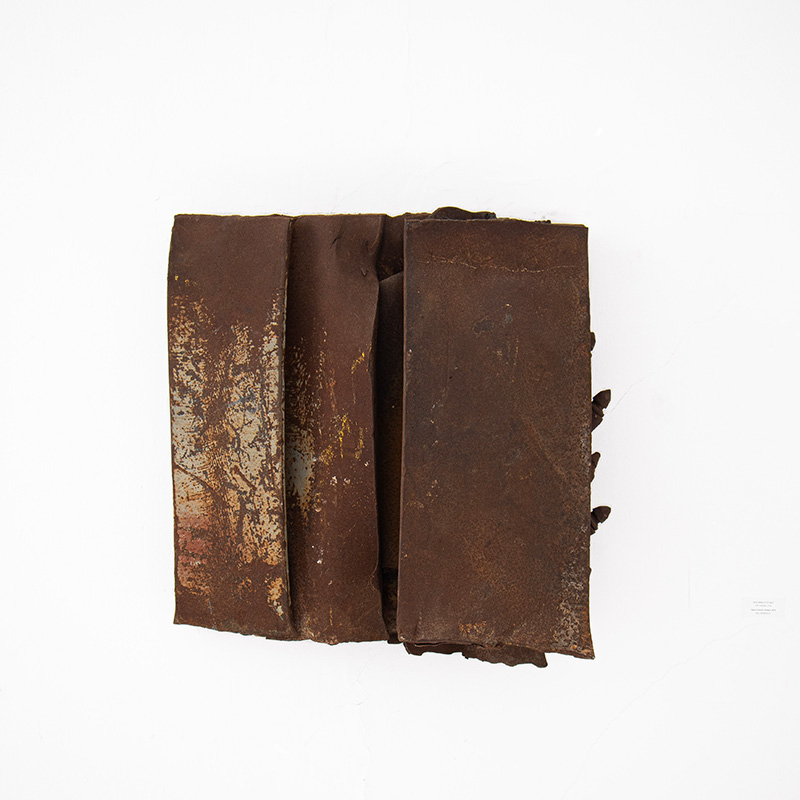 יעקב דורצ'ין: דג בלי ראש ופסלים נוספים  