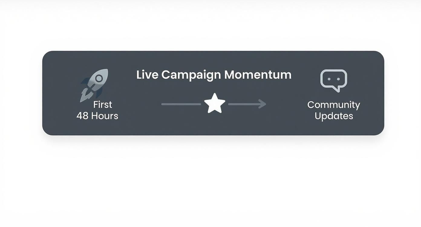 Infographic about kickstarter 3d printer
