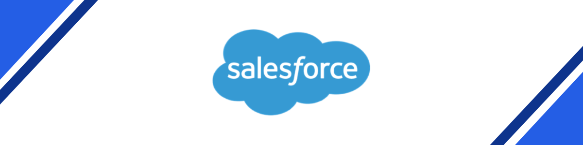 Salesforce business development tool