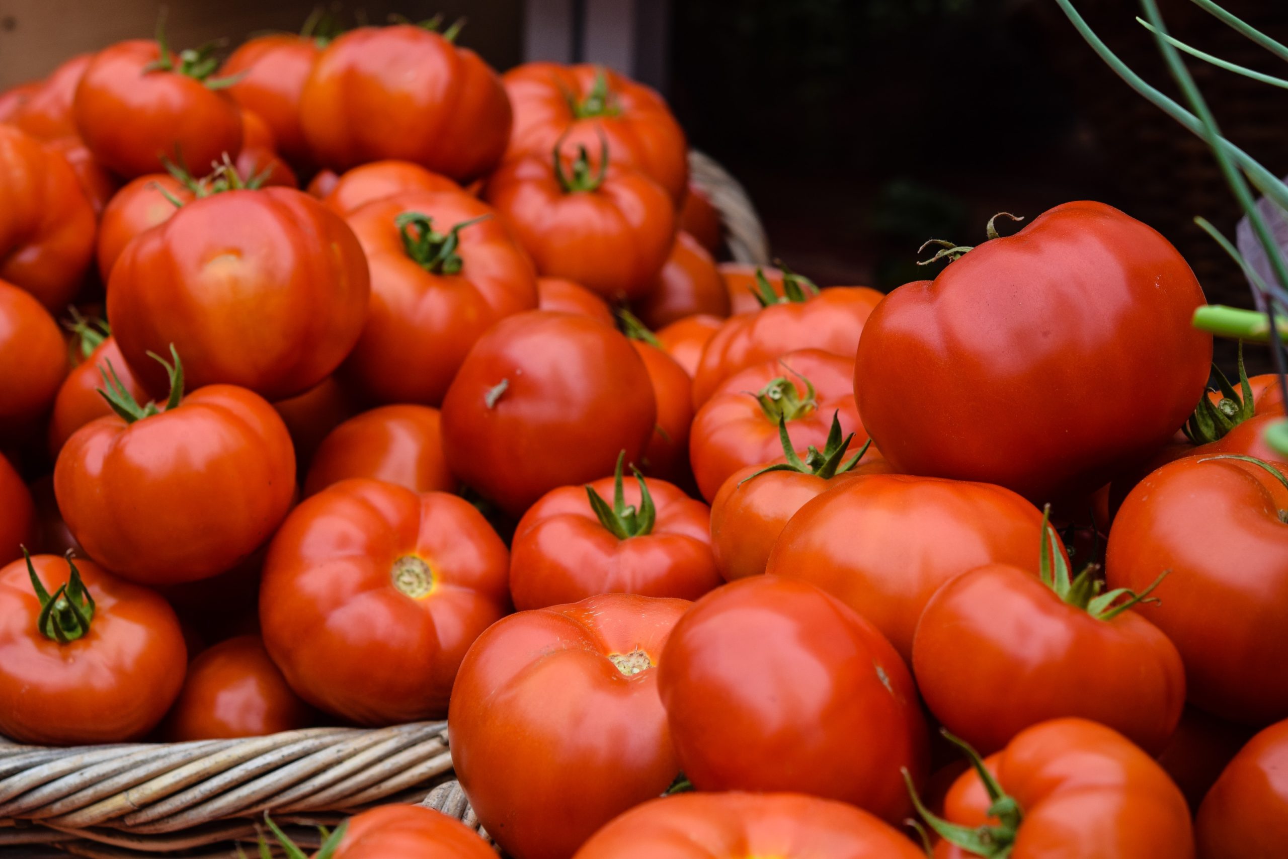 Famer's Markets, CSAs, and Gardens