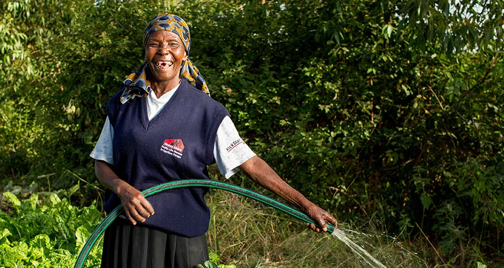 A female farmer in Kenya waters her crops. 