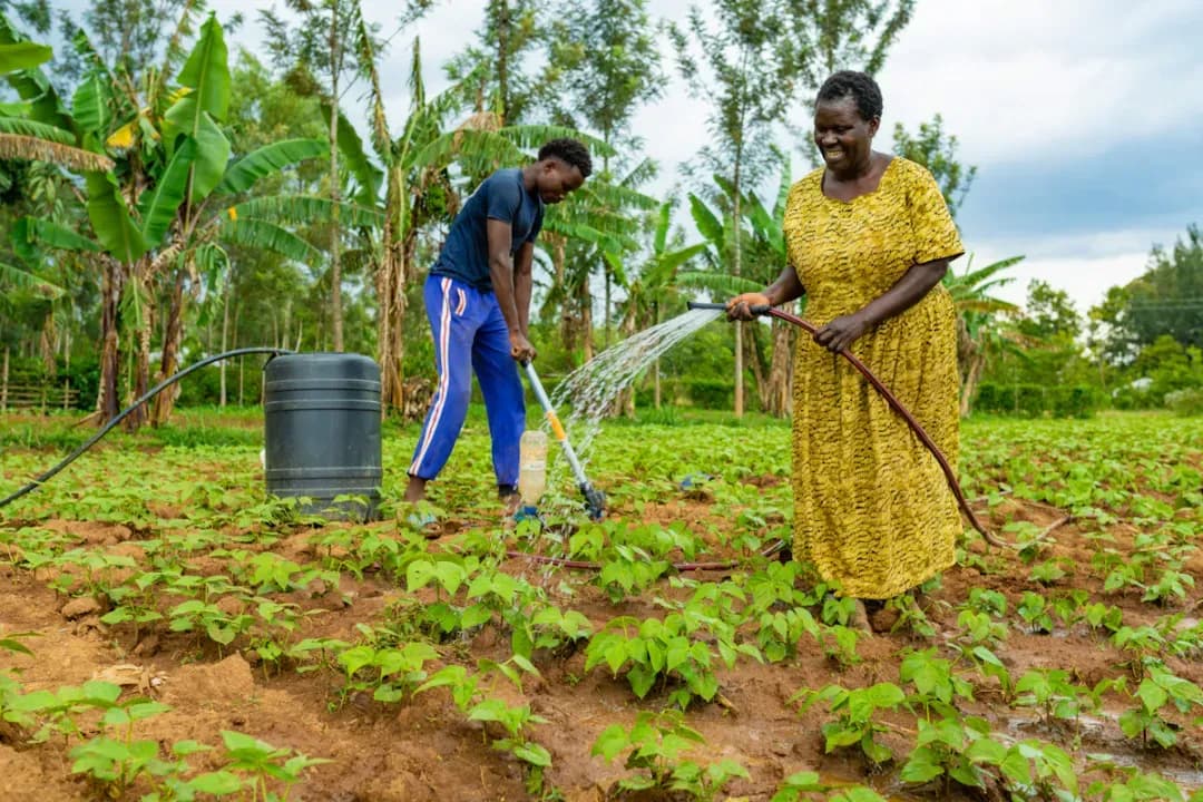 A female farmer is watering her plants while a male farmer is tilling the soil behind her.