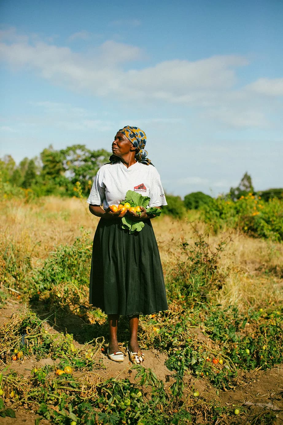 A female farmer is surrounded by tomato plants in a feild and is holding tomatoes and kale.