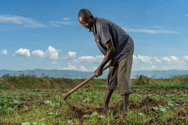 A male farmer is using a tool to break up the soil, surrounded by feilds and mountains in the background.