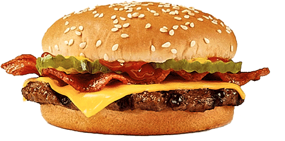 Burger Webdesign Paket