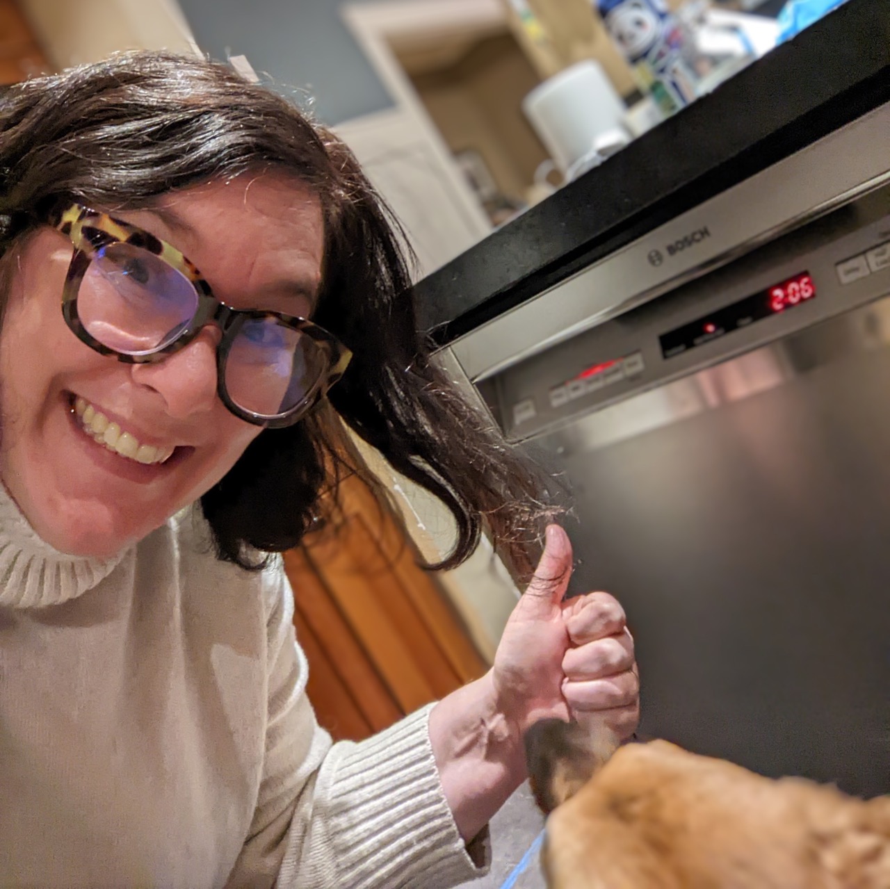 Lily's dishwasher install