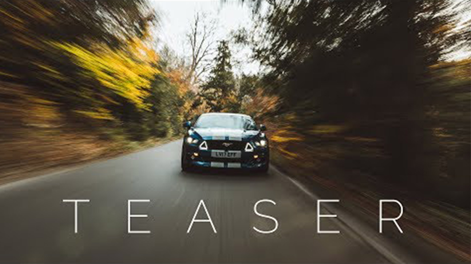 Mustang Driving Through Trees