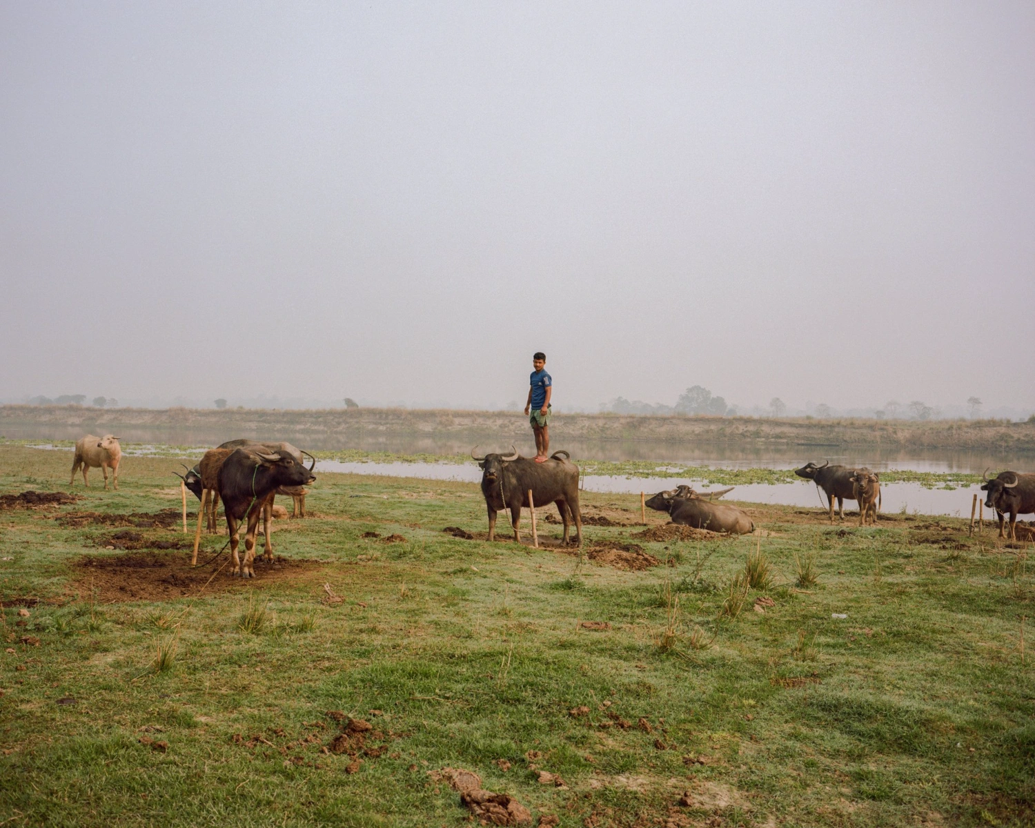 Flood Me, I'll be Here by András Zoltai, climate change, documentary photography