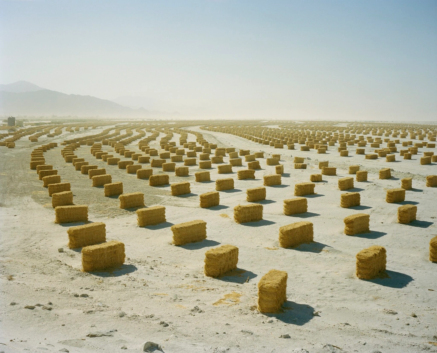 Dreams on the Dying Stone by Scott Rossi, documentary photography, climate change
