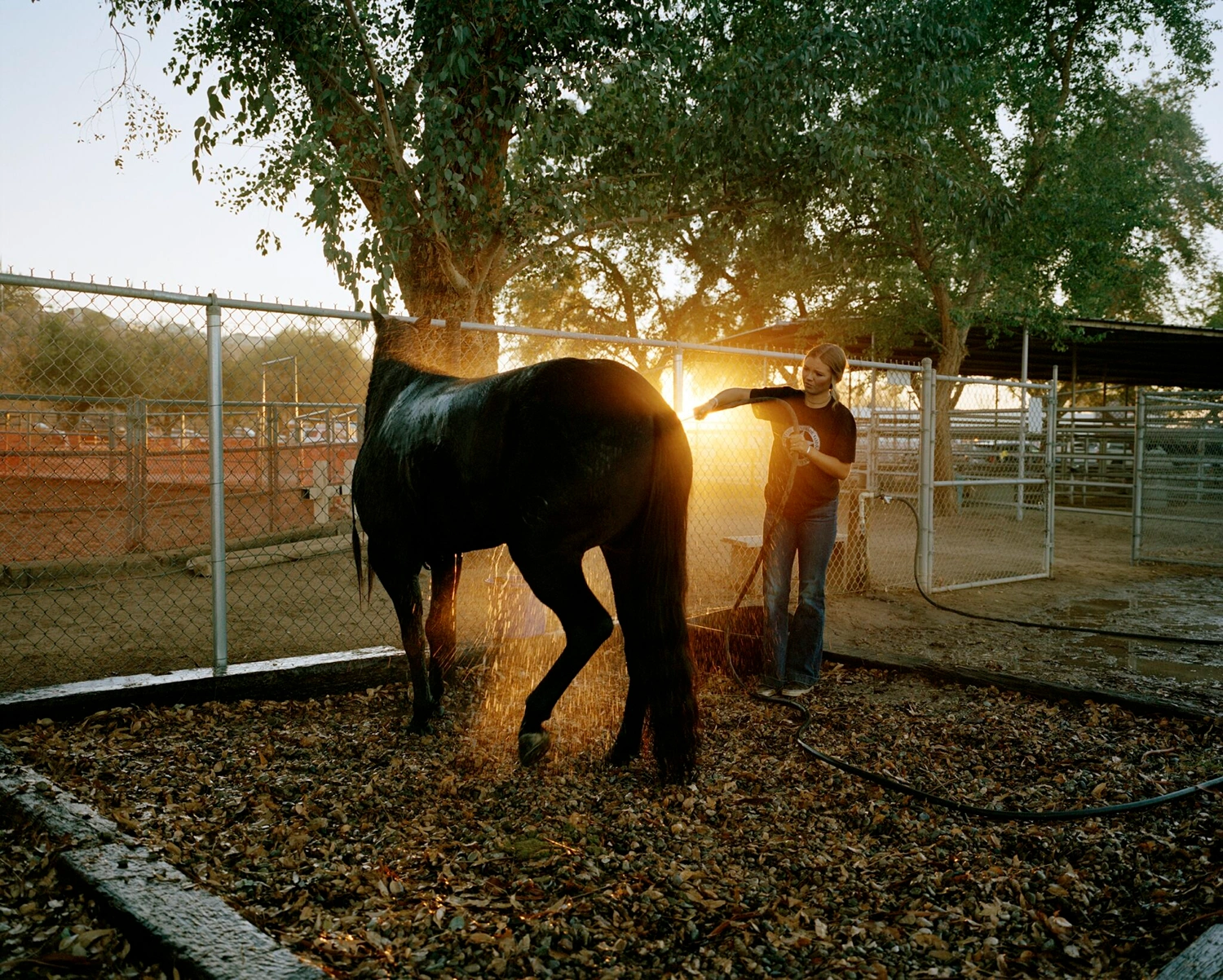 Dreams on the Dying Stone by Scott Rossi, documentary photography, climate change