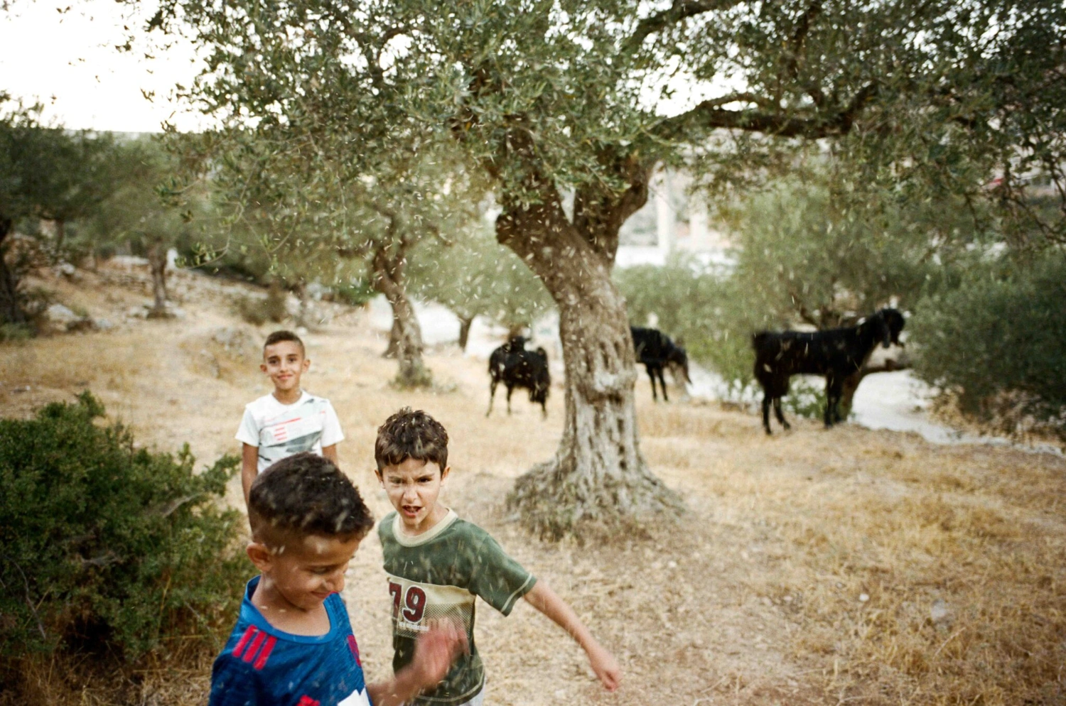 Before Freedom by Adam Rouhana, documentary photography