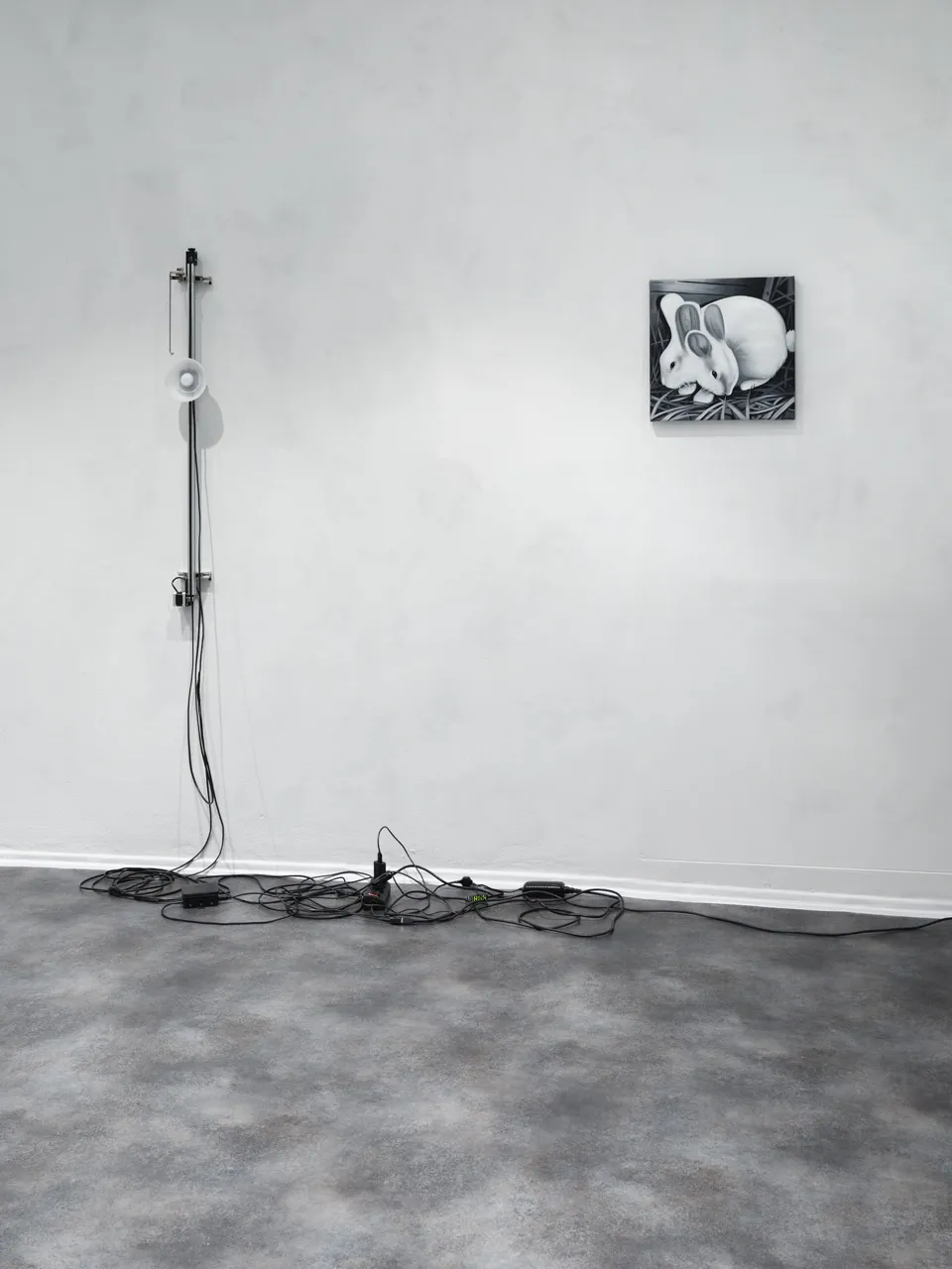 Cold to the Touch by Edna Baud at Galeria Foksal, art exhibition, painting, installation, Warsaw City Guide