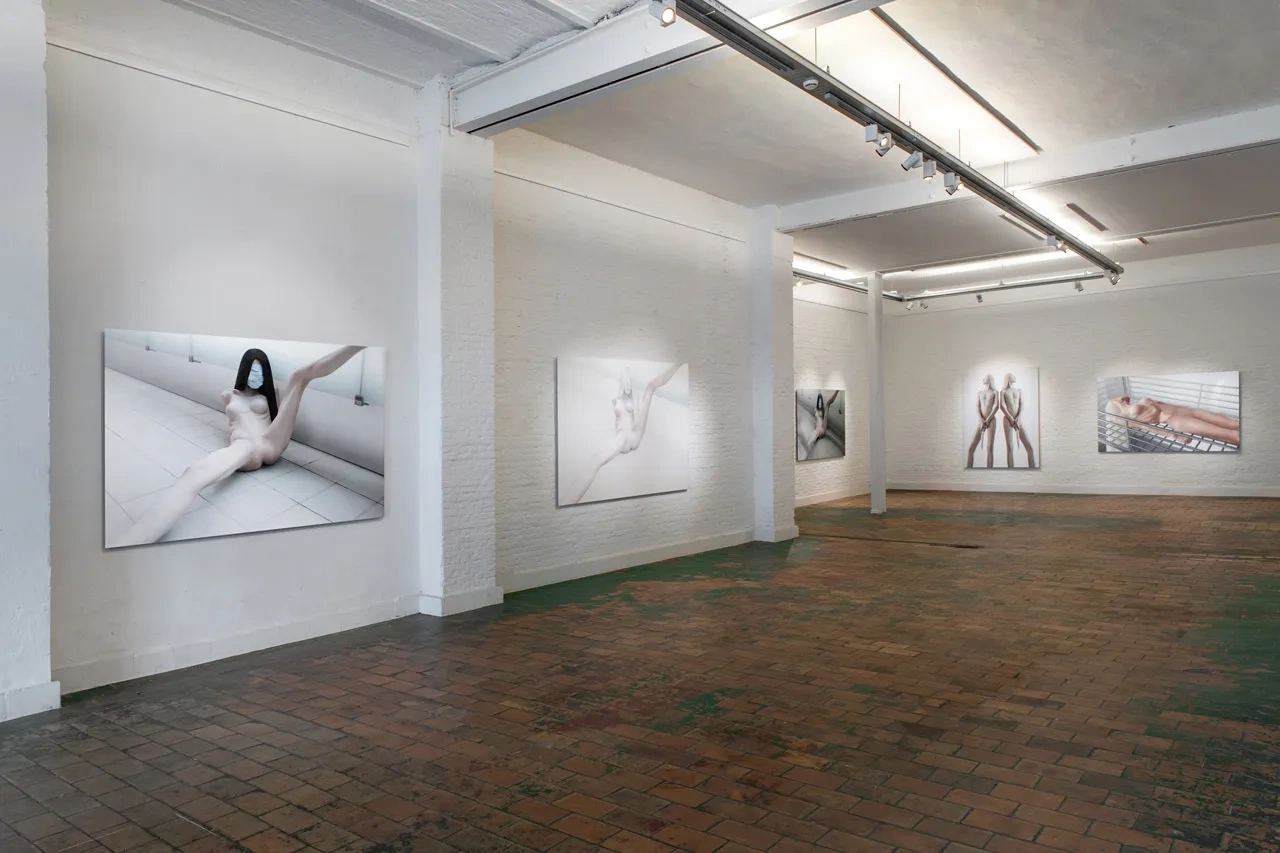 TRANSHUMANISM by Joanna Grochowska at Untitled Space Gallery, New York City Guide, art exhibition, posthuman