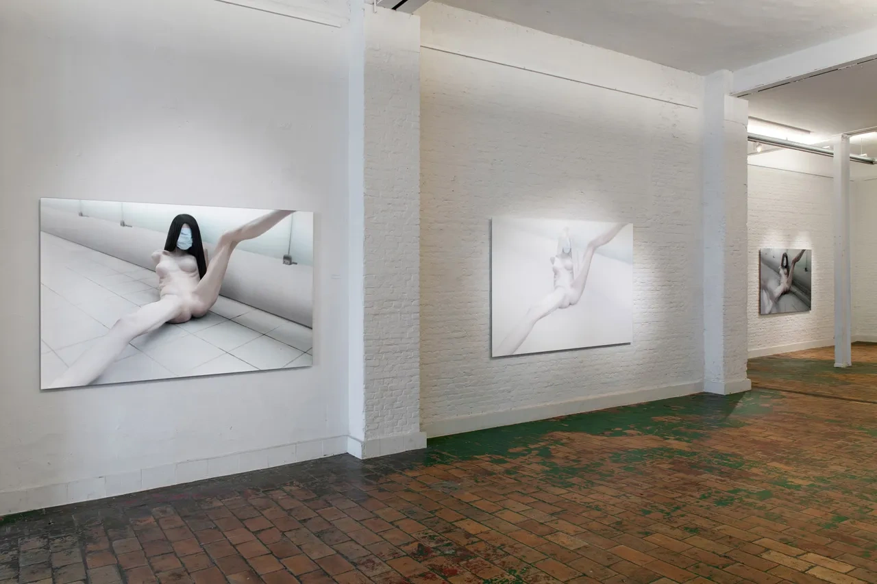 TRANSHUMANISM by Joanna Grochowska at Untitled Space Gallery, New York City Guide, art exhibition, posthuman
