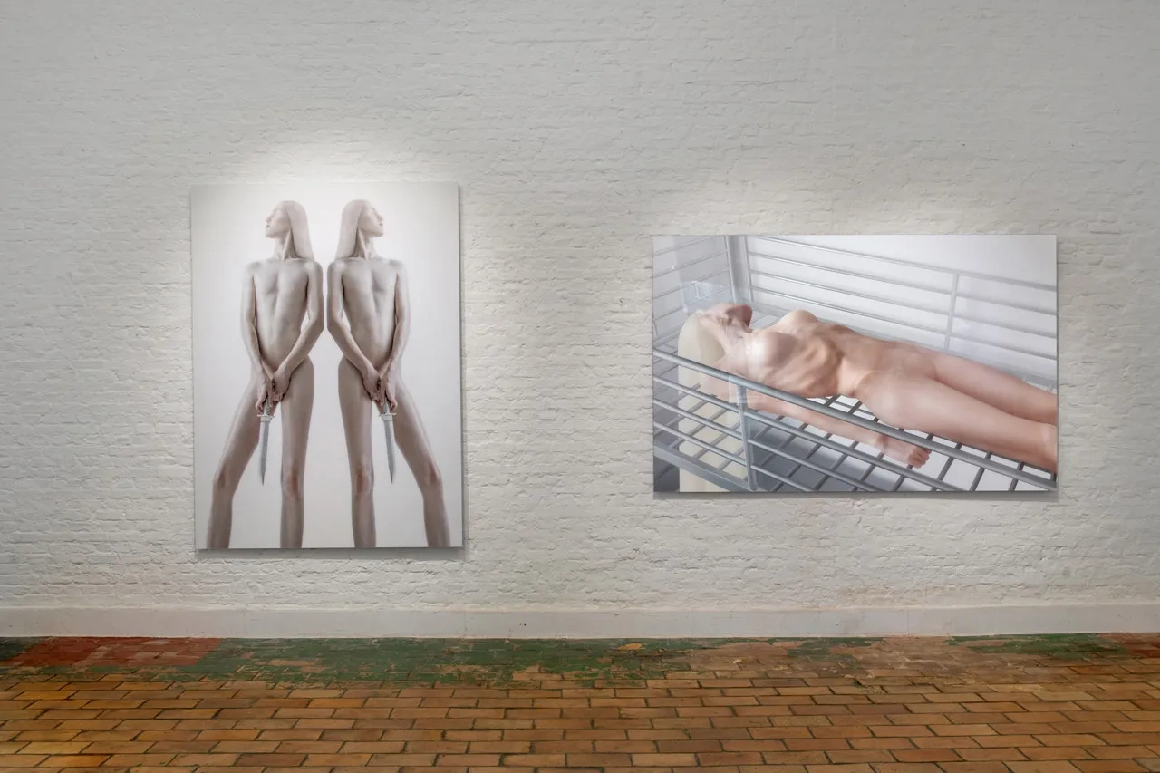 TRANSHUMANISM by Joanna Grochowska at Untitled Space Gallery, New York City Guide, art exhibition, posthuman