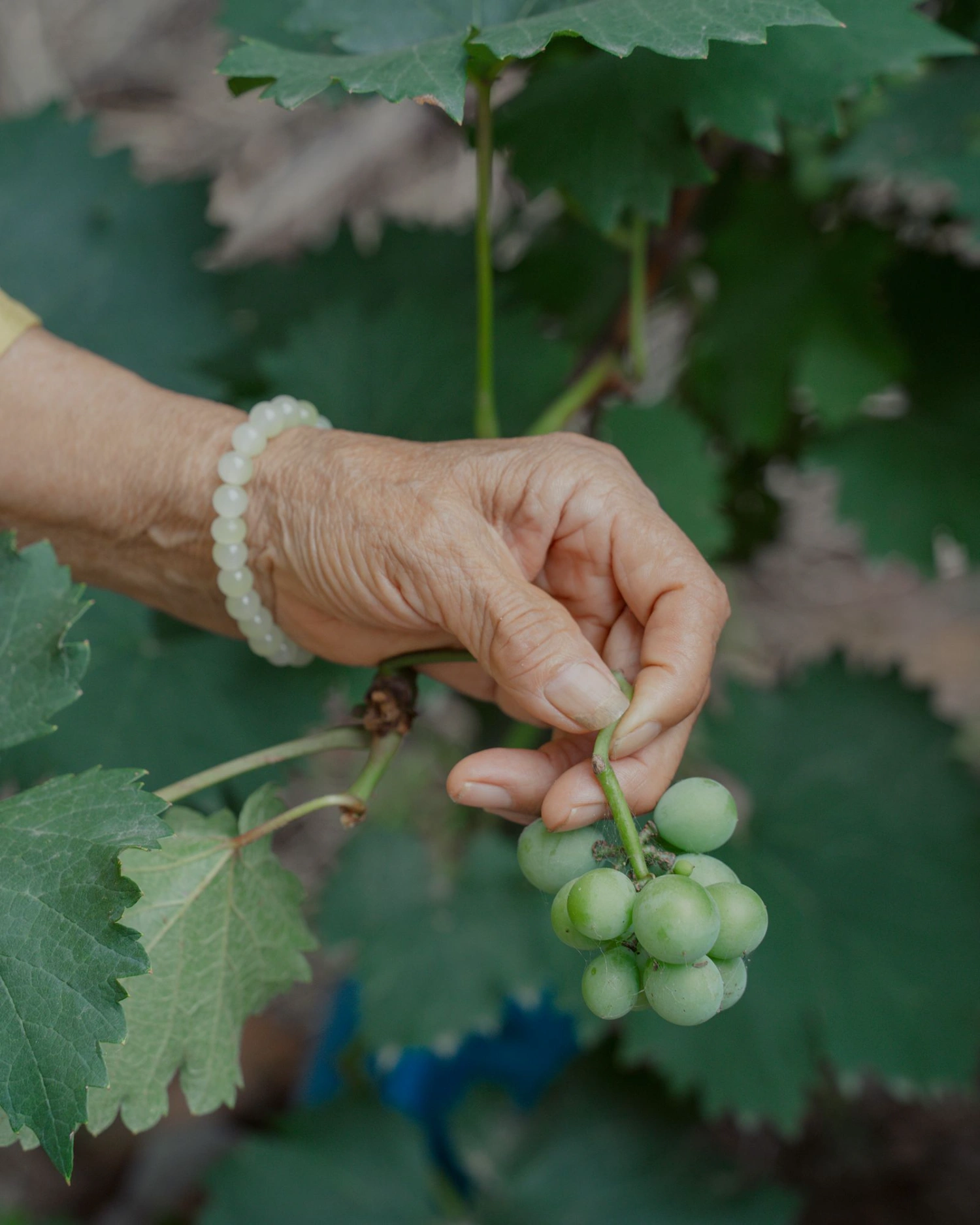 Don’t Leave Me by Kaiwei Duan, documentary photography, china, grandmother, people
