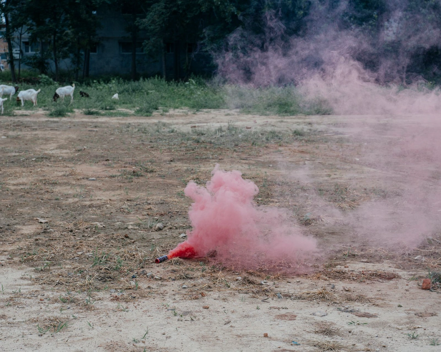Don’t Leave Me by Kaiwei Duan, documentary photography, china, grandmother, people