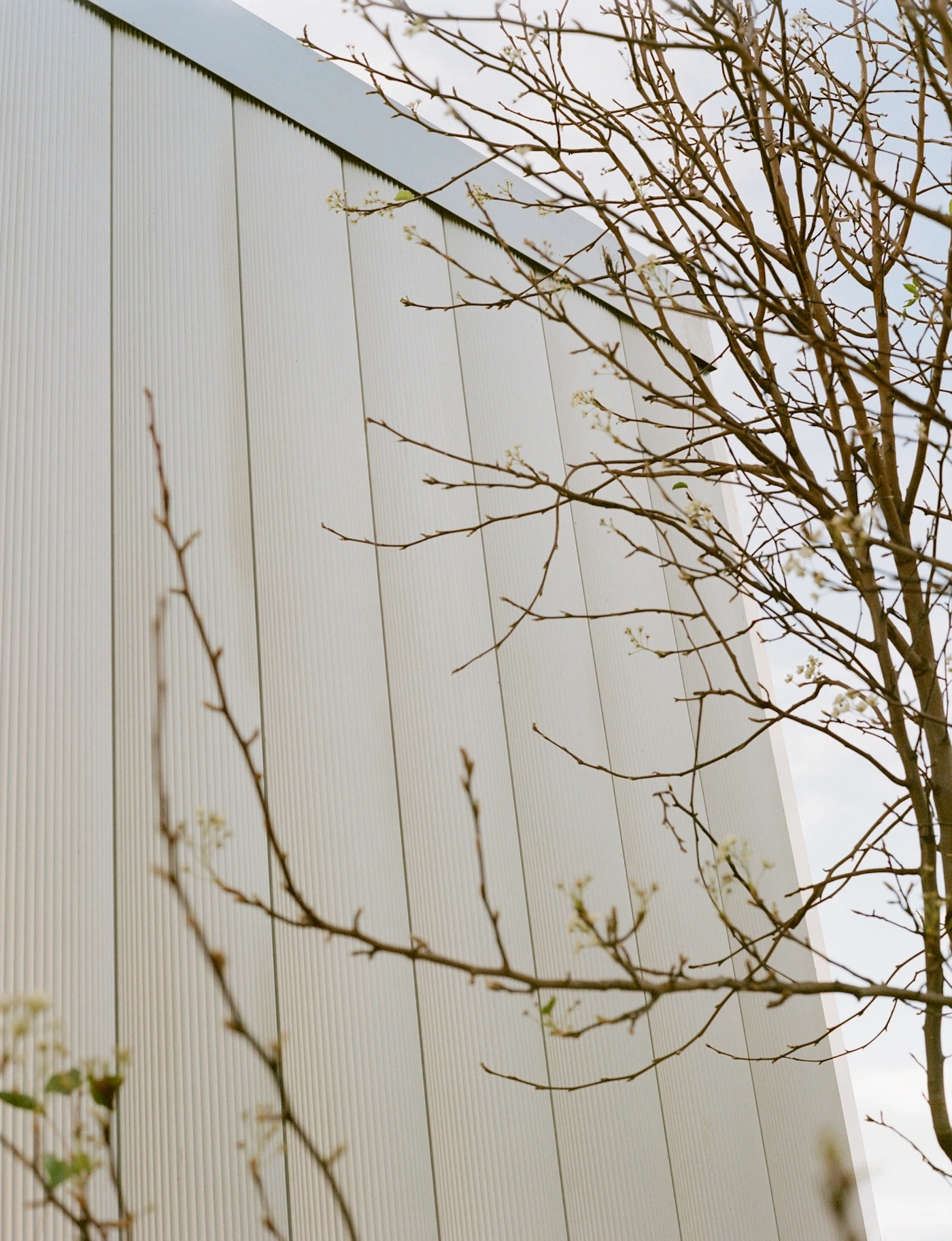 The Chapel of St. Thérèse of Lisieux by Bull O’Sullivan Architecture, sacral, New Zealand