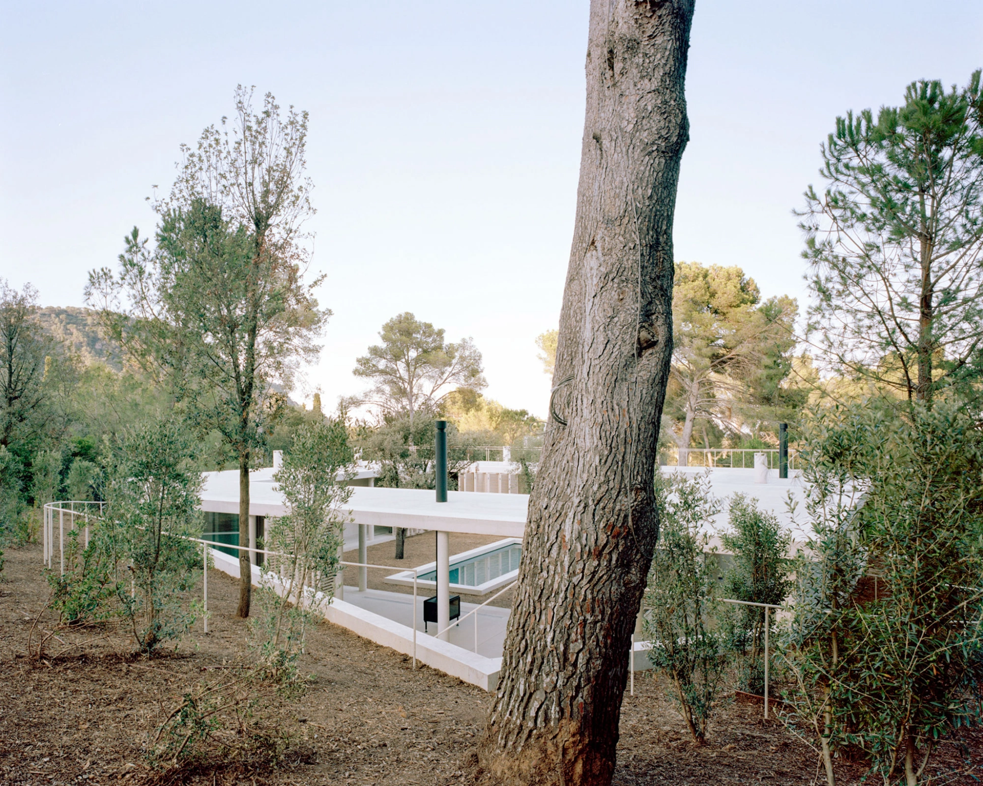 Patio House by Arquitectura-G