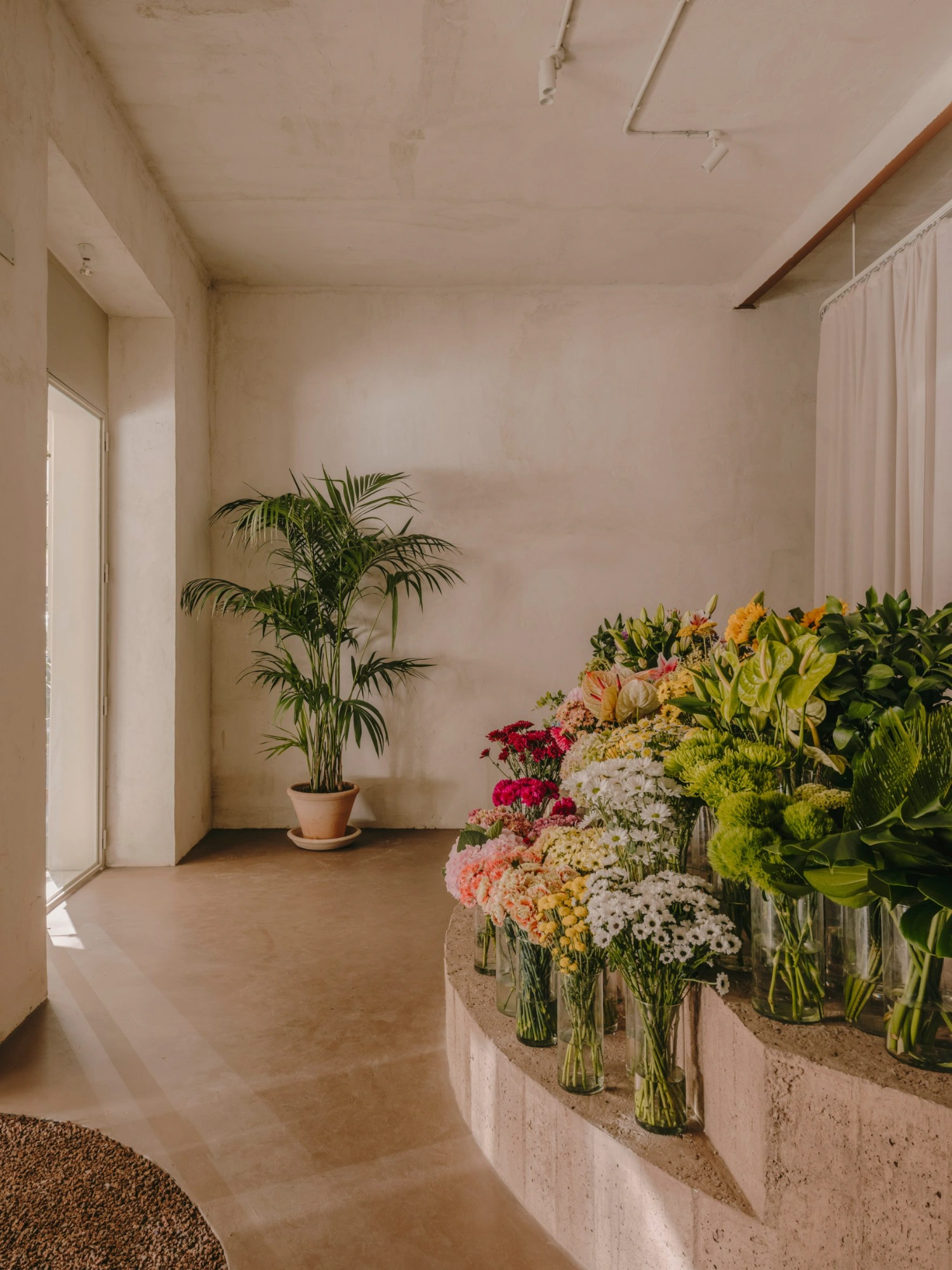 Alblanc Atelier by Plantea Estudio, flower shop, interior design, Madrid Guide